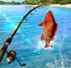 Fishing Clash Apk